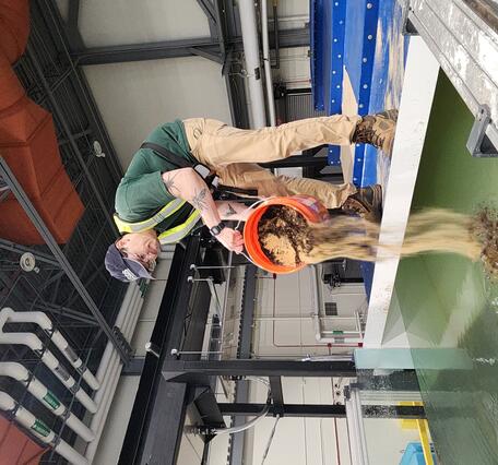 A Physical Scientist introducing sediment into the HIF tilting flume.
