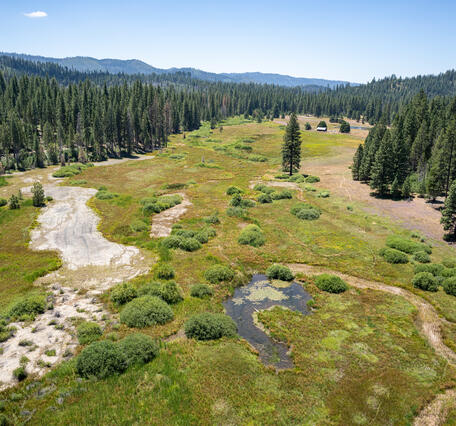 Above ground view taken from drone camera of Ackerson Meadow, Yosemite National Park