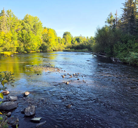 Namekagon River