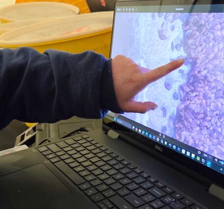 A girl pointing at a computer screen.