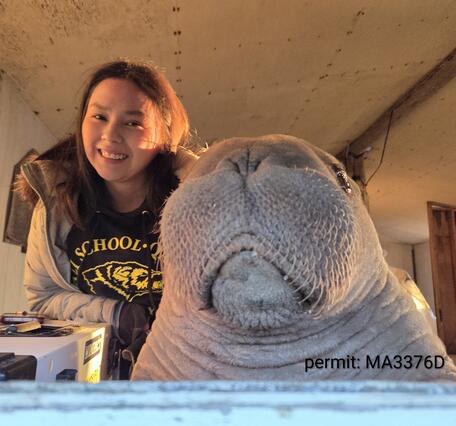 Girl smiles with a walrus calf