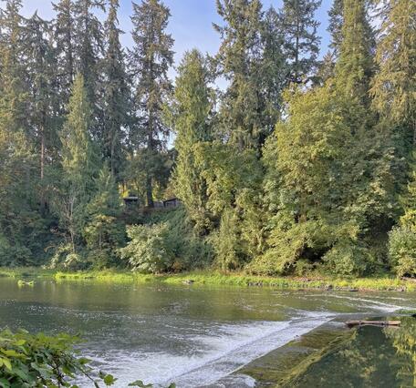 Green river water cascades over a shallow dam running through the river middle