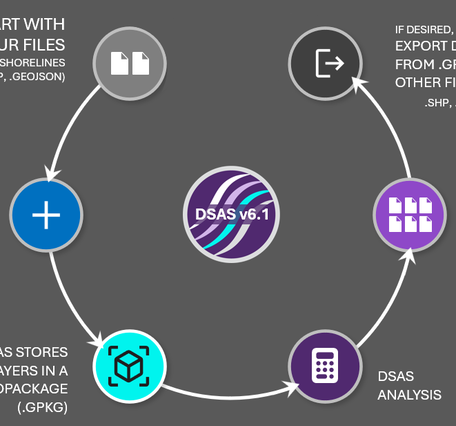 DSAS diagram with arrows pointing to different steps in the process