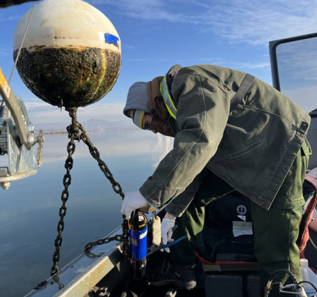A buoy pulled up by the boat mounted crane has a water quality sensor chained to it 