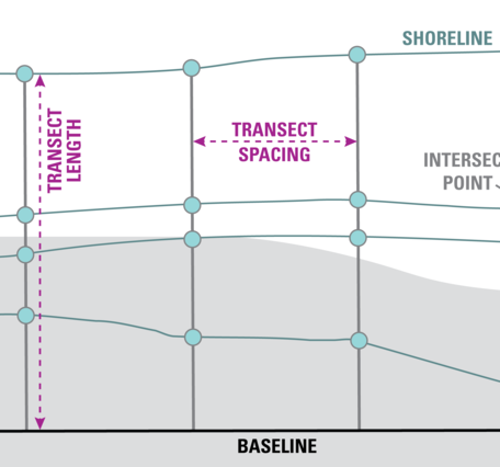 diagram showing transect lines on a shoreline