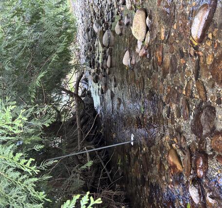Mundt Creek