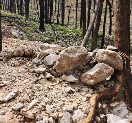 linear deposit of rocks and boulder resting against a tree