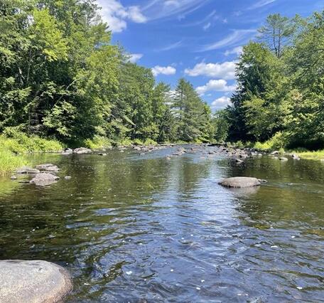 A picture of a river with green banks and trees on both sides and blue sky.