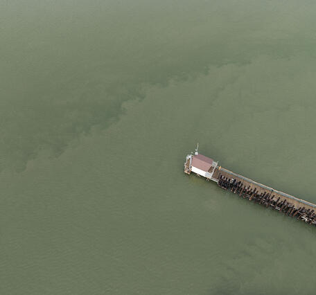 A drone view of where scientists with the U.S. Geological Survey gathered shellfish samples collected at Martinez Harbor, Con
