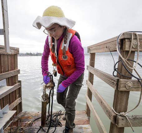 Scientist packs up gear used to gather shellfish samples