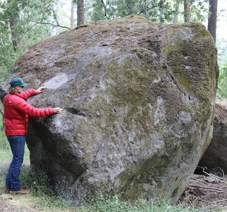  A man in a red jacket stands beside a large moss-covered boulder in a lush forest, surrounded by tall trees and greenery.