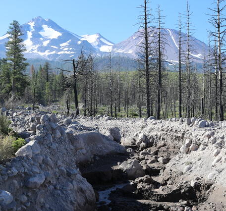 A rocky, steep-sized mountain creek is bordered by dead pine trees and sagebrush. In the distance, a two-peaked volcano scattered with snow rises high above the forested landscape.