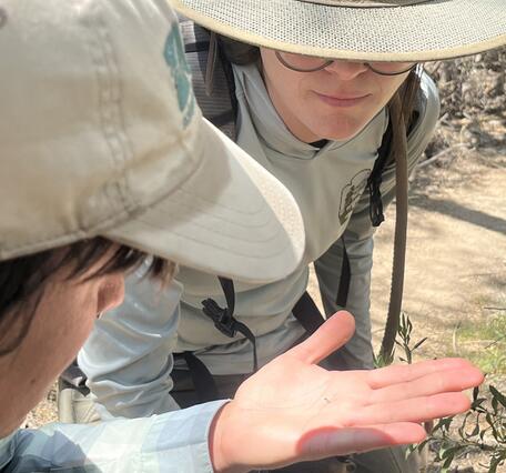 A close up photo of two people looking at a tiny snail in one of their hands