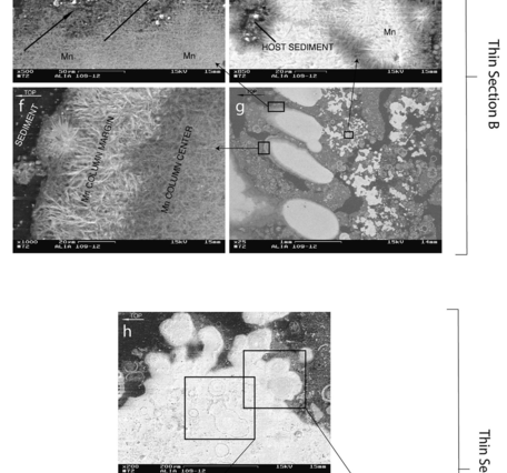 A stratigraphic scanning electron microscope tour showing the evolution of manganese-oxide mineralization of host sediment