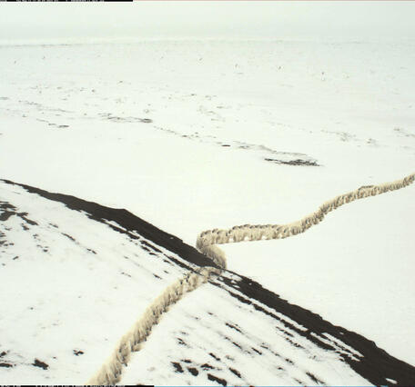 A composite of 10 minutes of 2Hz images taken by a coastal camera at Nuvuk, Alaska, showing a polar bear on sea ice