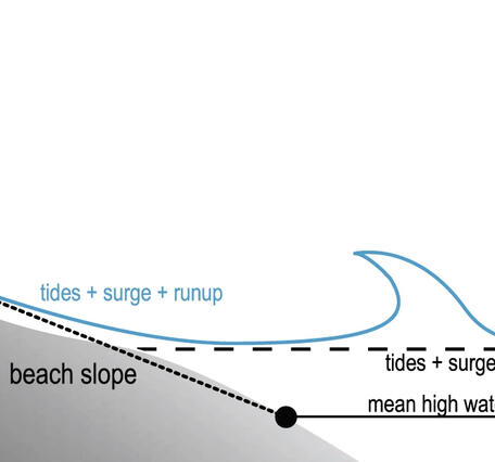 An illustration of a typical beach system with beach, dune base and dune crest.