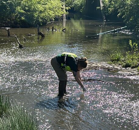 Hydrologic technician collects a water-quality sample from a creek