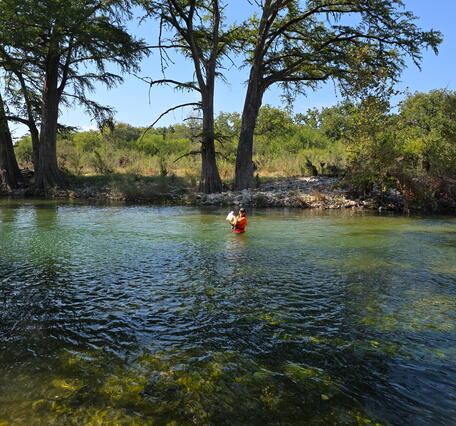 woman in black hat and orange shirt wading in Frio River while holding a large water sample