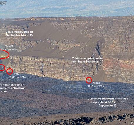 Color annotated image showing volcanic vent locations