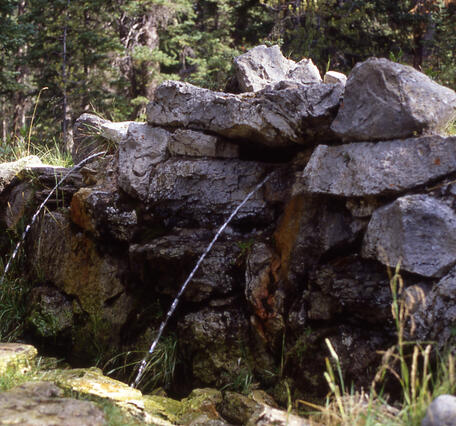 water shoots from a rock wall, with forest in the background