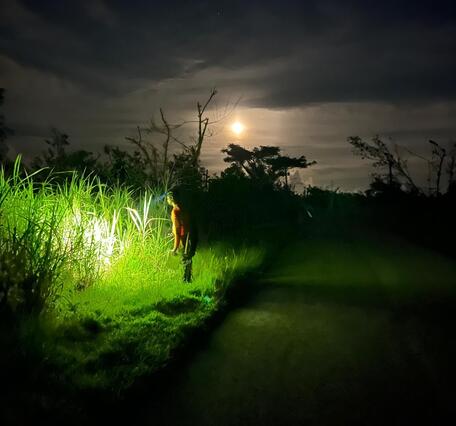 A person looks into bushes with a flash light as the moon shines in the distance