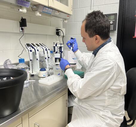 Researcher in a white lab coat sits at a bench in a laboratory using pipettes. 