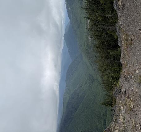 Barren ground in the foreground, with forested hills under cloudy sky in the background