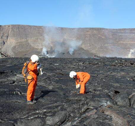 Color photograph of scientists collecting sample
