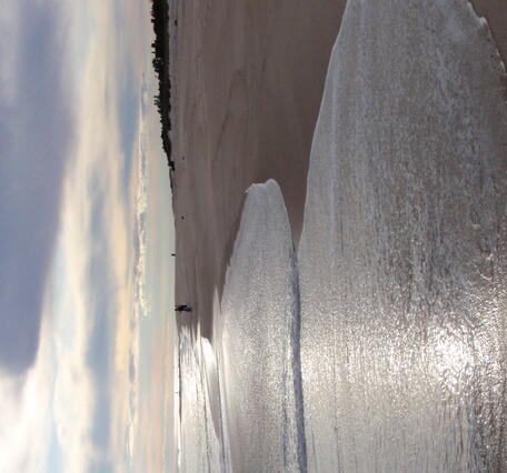 Ocean waves flow onto a wide sandy beach with a dark treeline in the distance, on a cloudy day