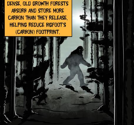 A dark and misty illustration of an ape-like creature walking upright through an old-growth forest.