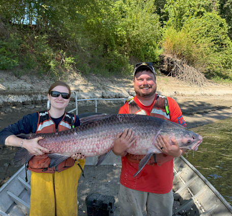 scientists holding a black carp in a boat