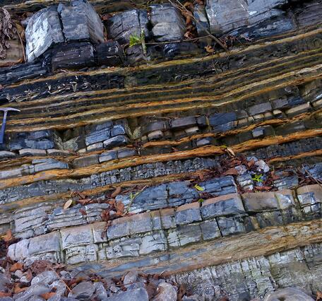 Striated lines of multicolored rocks, with a pick added for scale.  The rocks are an outcrop of the Bossier Formation.