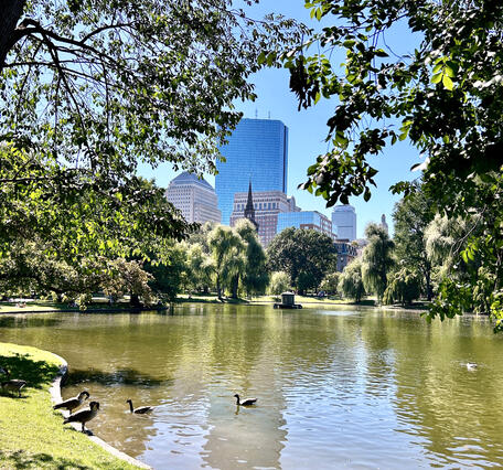Boston Public Garden Lagoon, Massachusetts — Urban Surface‑Water Feature