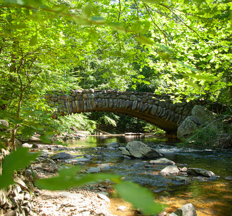 A bridge made out of rocks arches over a creek