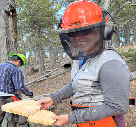 USGS Geographer Rebecca Brice displaying core taken from tree sample location