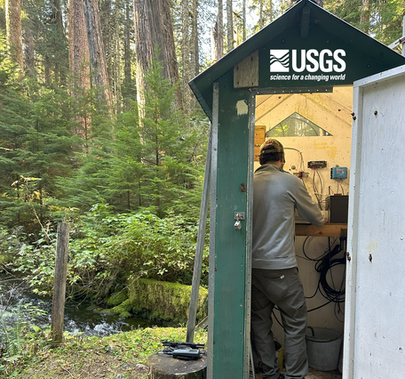 man in grey stands in a dark-green tall, narrow rectangular wooden gage house in the forest 