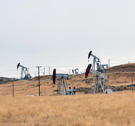 Red and white oil pumpjacks and electrical poles and lines cover a hillside of browning grasses and shrubs