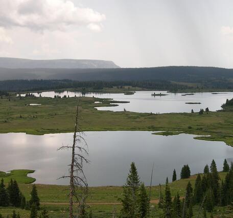 View from above Bison Lake, Colorado