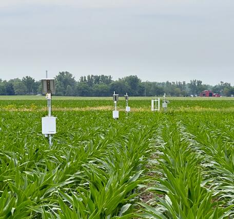 CRNS monitoring station in a field with hazy sky overhead.