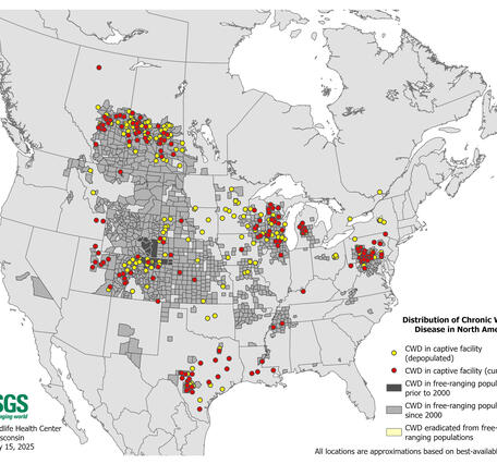 Distribution of Chronic Wasting Disease in North America Jul 2025