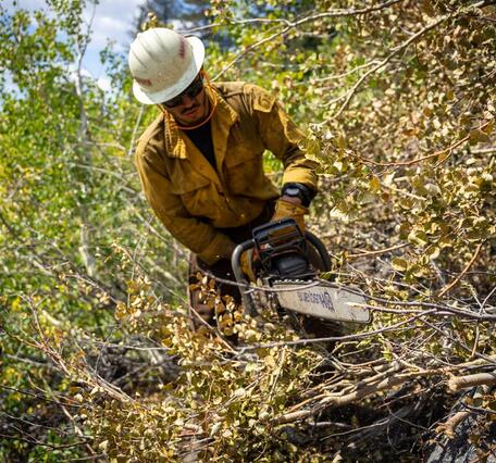 Man using a chain saw 