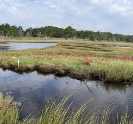 Combined photos of a Cape Cod marsh on the left and a scientist conducting analysis on beach sand.