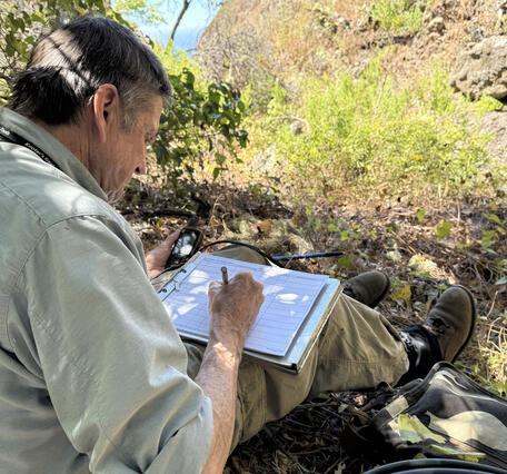 Scientist Charles Drost records data on a sheet on San Clemente Island during population monitoring fieldwork