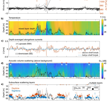 Chart showing time-series from the entire 132-day deployment off the southwest Puerto Rico coast
