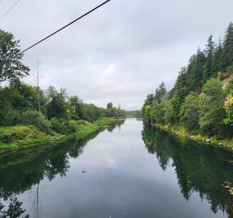 River with green banks