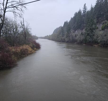 Muddy river in rainstorm