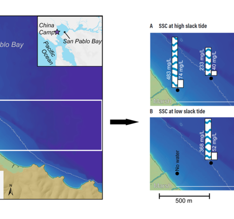 Maps showing China Camp Marsh study area with inset showing suspended sediment measurements