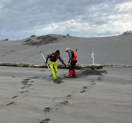 Two scientists unearth the buried cable tethering an acoustic receiver to shore in the Columbia River