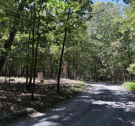 Gravel road passing a wooded cemetery with a few headstones.