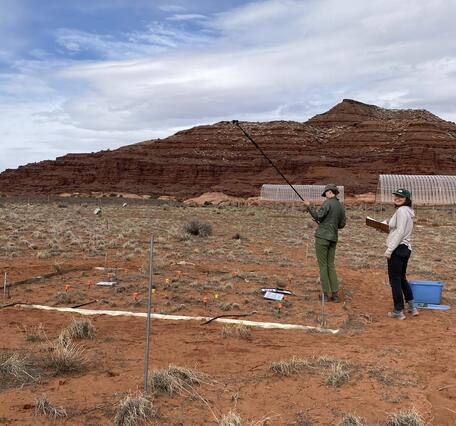 Two people do vegetation sampling in red rocky landscape